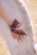 Chestnut Brown silk twilly